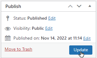 Publish or Update button